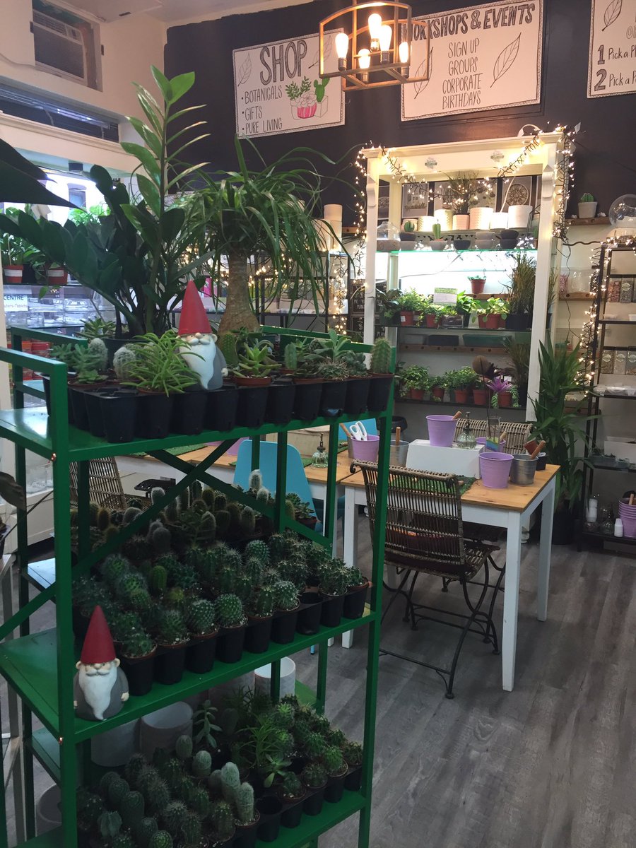 Good Morning @downtownPtbo People! Santa gnome has appeared and says he’s giving FREE Plants away with every purchase today! Open 9-5! ok then Santa let’s do it🌱🌱🌱🌿🌵🍃