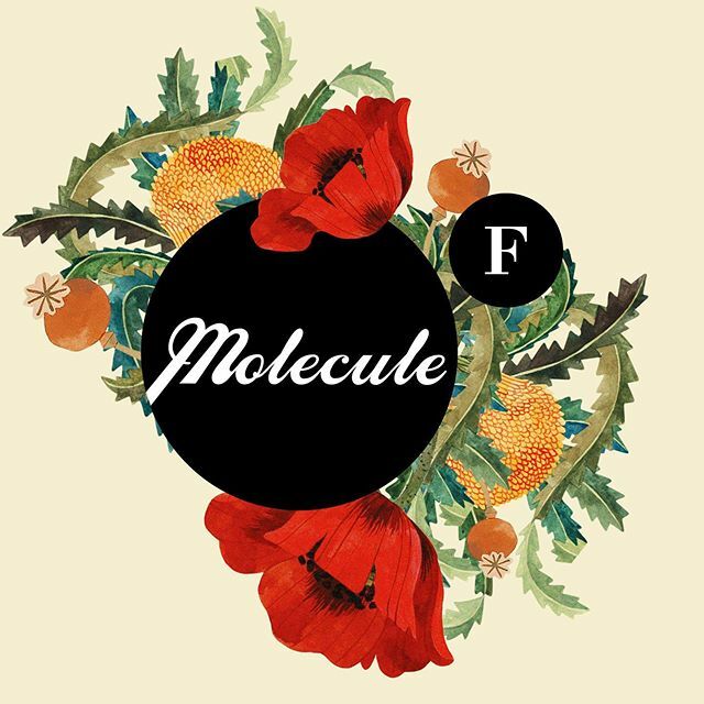 Molecule - Design Store