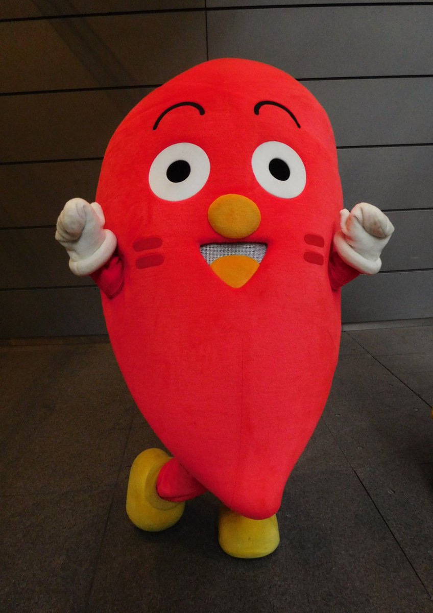 ゆたぽんレッド ゆたぽんレッド