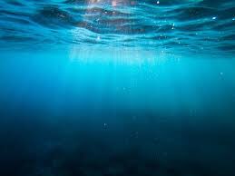 revdrmelanieh's tweet photo. Something so special about #baptising two members of the church today (and my first time baptising an adult!) on this first day of #Advent.
A sense of new beginning, of light piercing the darkness, of #hope, reinforced by the turning of the Christian year. https://t.co/hpOvZnrQnD