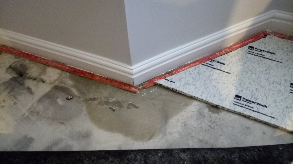 Phillip Whitehead tweet media