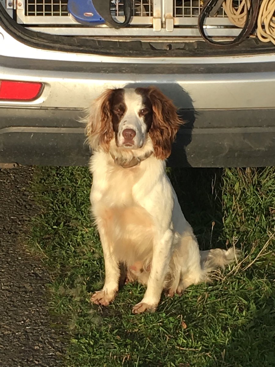 Pd Jack’s found an even better spot than Turbo for catching a few rays 😎