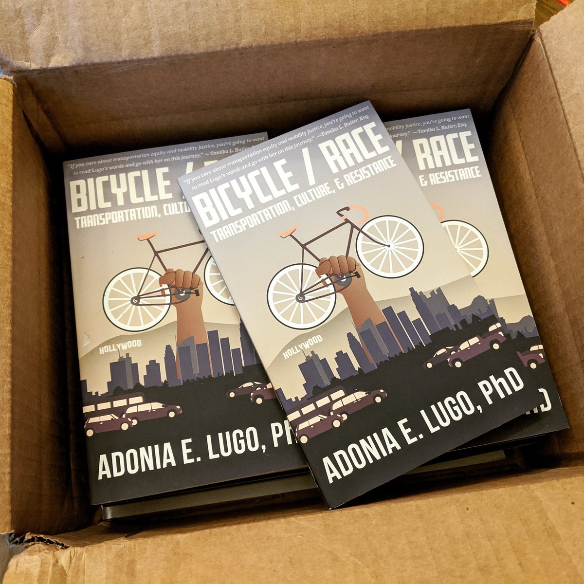ElginComBikes's tweet image. Coming to an Elgin book discussion near you in 2020! We&apos;re working on finalizing the details for January/February, so stay tuned! #boxofbooks #humaninfrastructure #bicycleslashrace #microcosmpublishing #BikeElgin #mobilityjustice #bookdiscussion
