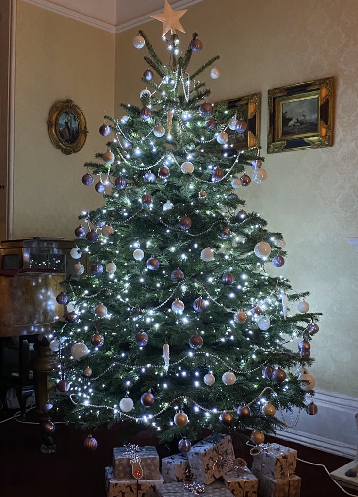 HotelMarstan's tweet photo. Due to the efforts of Jackie and Pippa, tree one of five is now done!
#marstanhotel #torquay #devon https://t.co/Sti5Z7G1ja