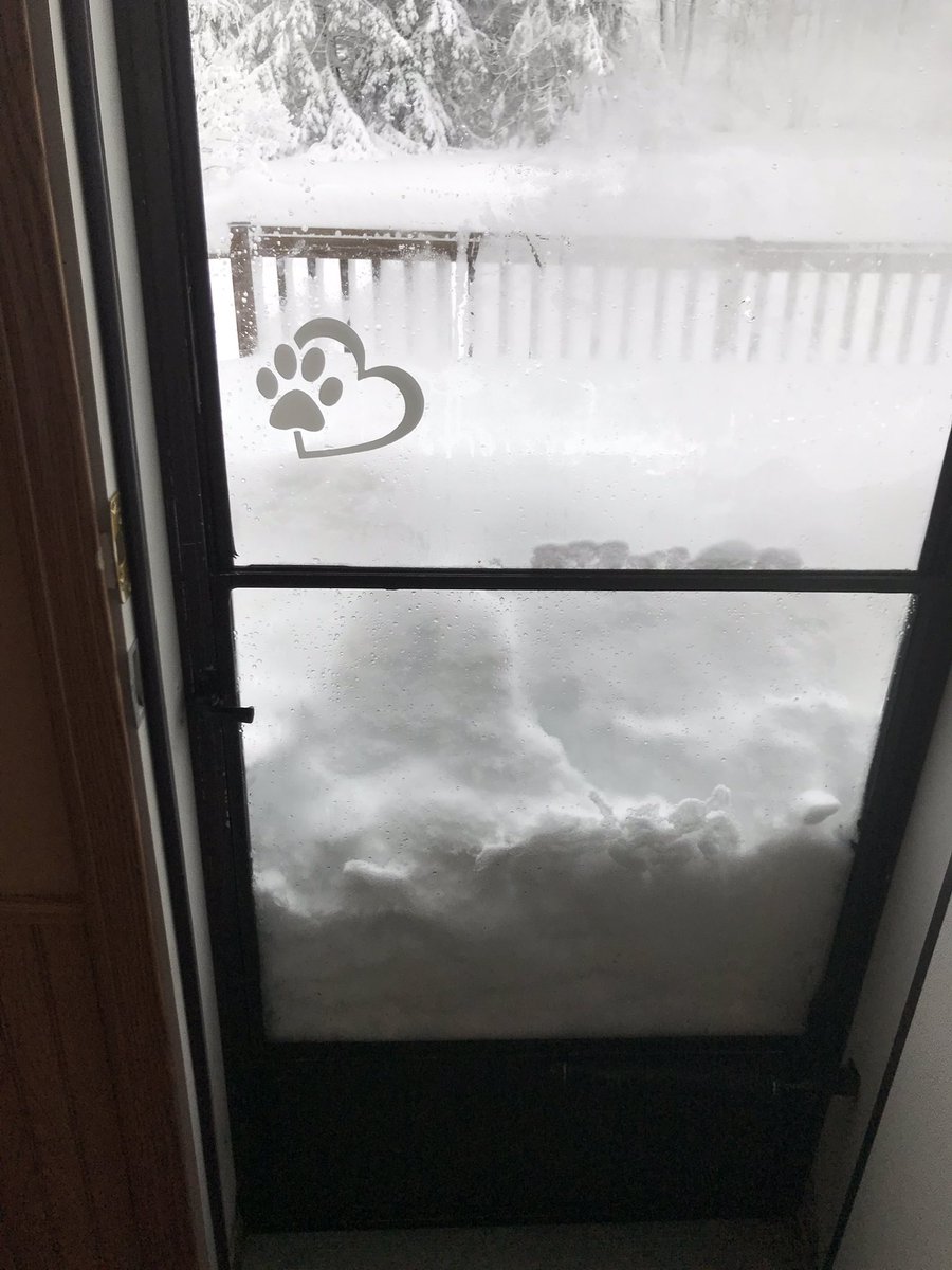 Snowed in with the flu, how’s your Sunday morning