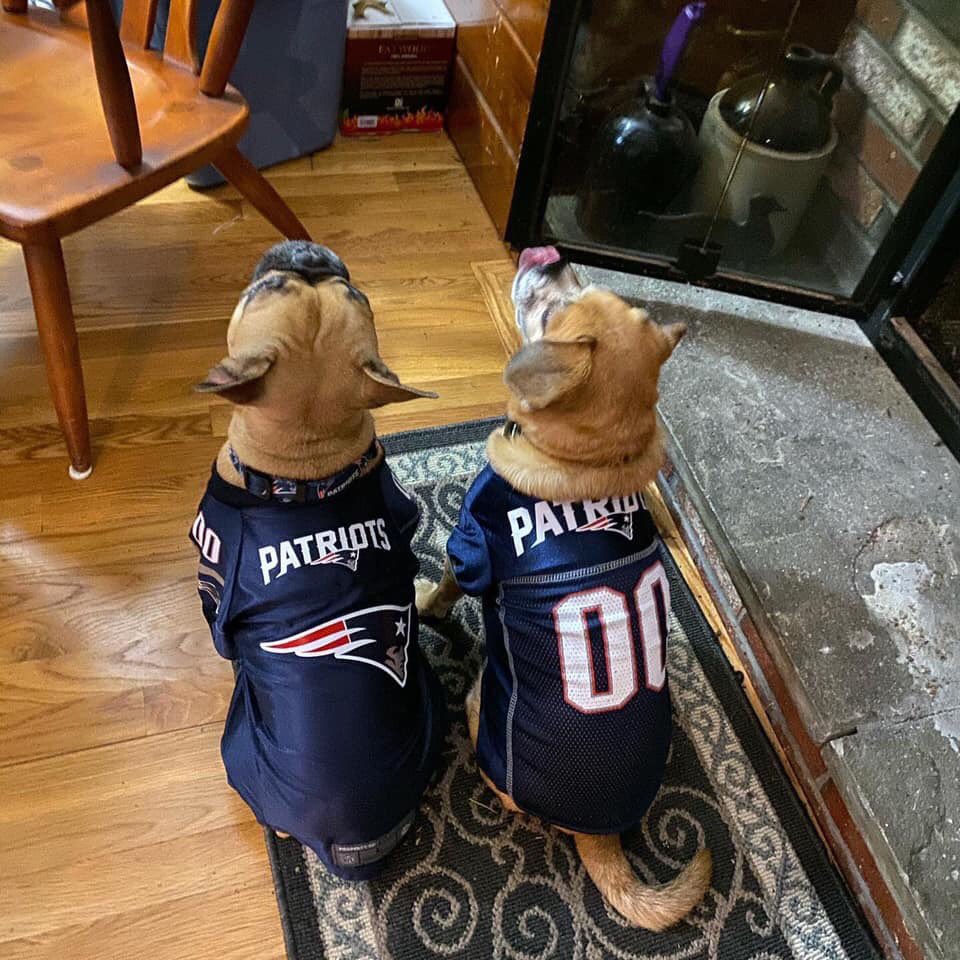 Bring on Houston!!!
Rex &amp; Taffy are ready #GoPats #MarthasVineyard #Patriots