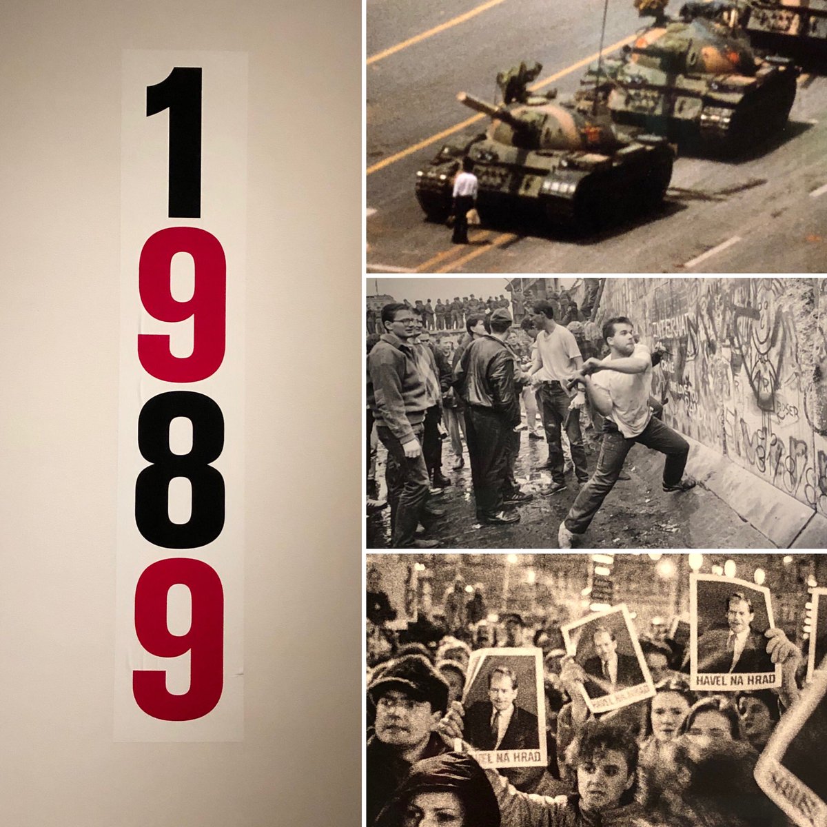 Charlotta Sparre tweet media