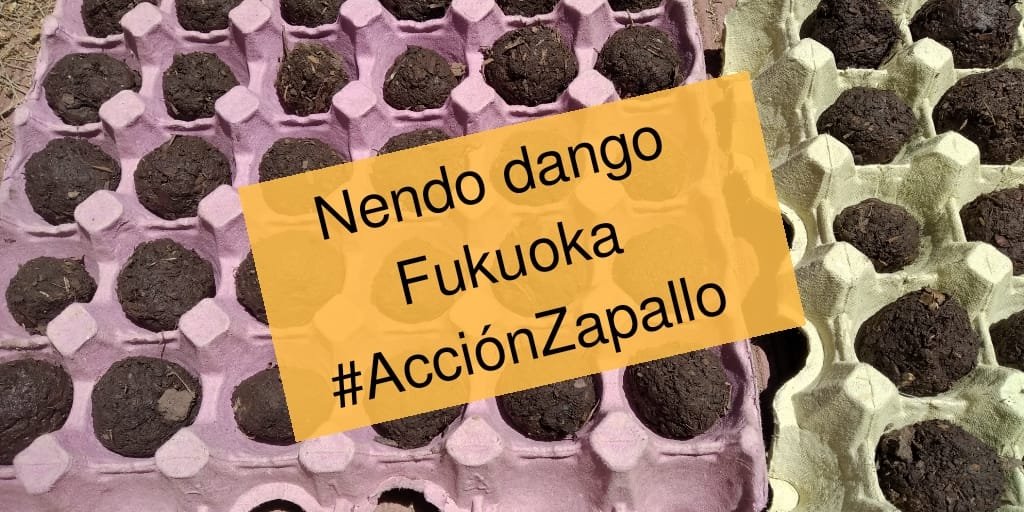 Hoy! Domingo 1° a las 17 ha en Plaza Paso - Moldes y Olaguer y Feliú #ZapallosEnAcción #BastaDeNegociados #NecesitamosNaturaleza