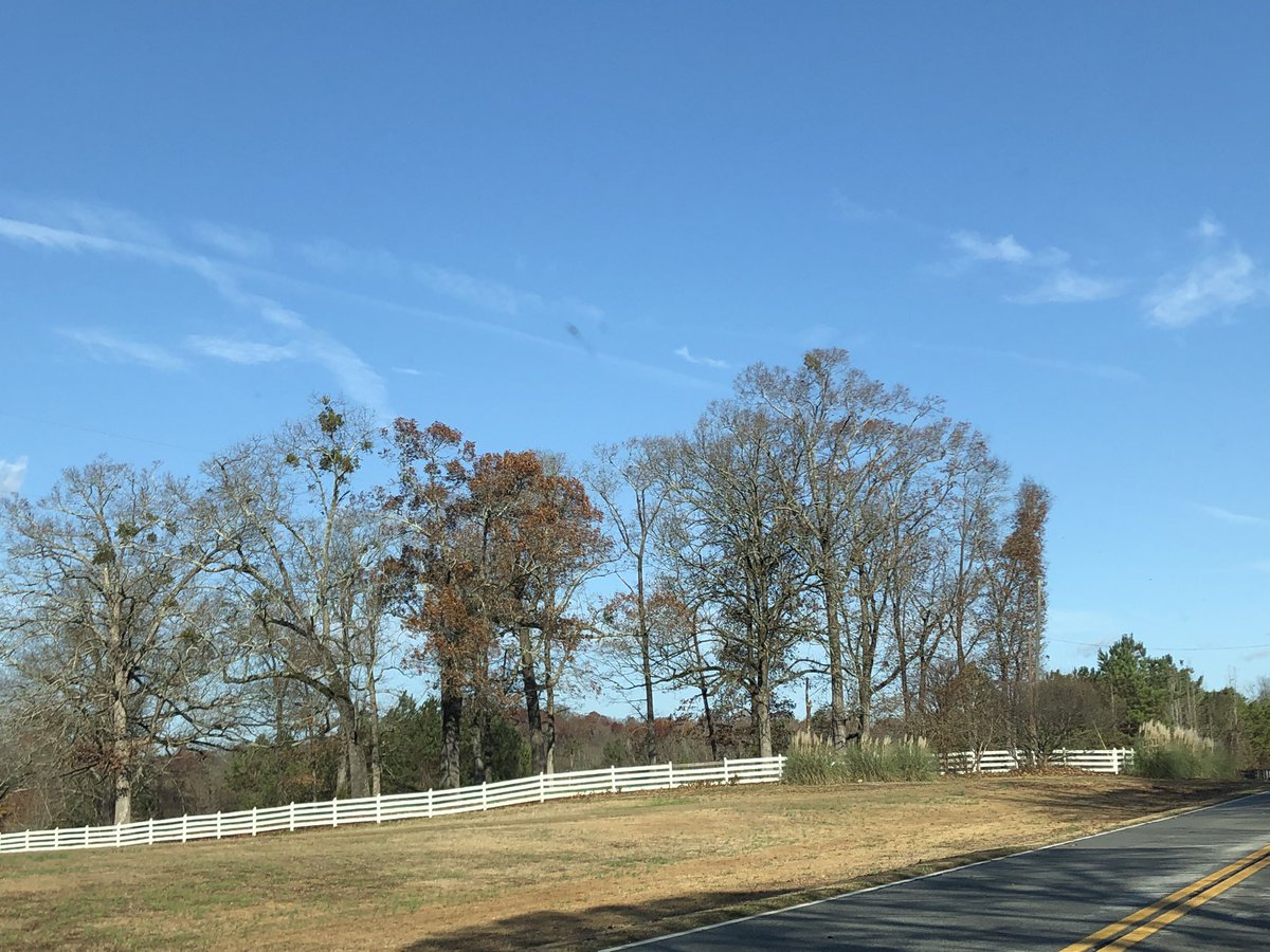 LilDisFan's tweet photo. Hwy 320 in GA.  #backroads #exploring #FallinGA https://t.co/bER9b9pQ9H