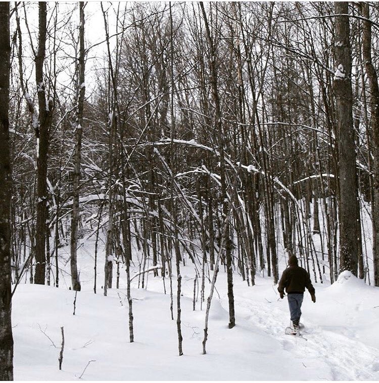 MVCAuthority's tweet photo. “Walking in a winter wonderland…”
Give your loved one the gift of nature conservation.  DONATE NOW!  https://t.co/6goXHLmkys #mvcf #foundation #giftofgiving #conservation #donatenow https://t.co/E9fQcOZkdC