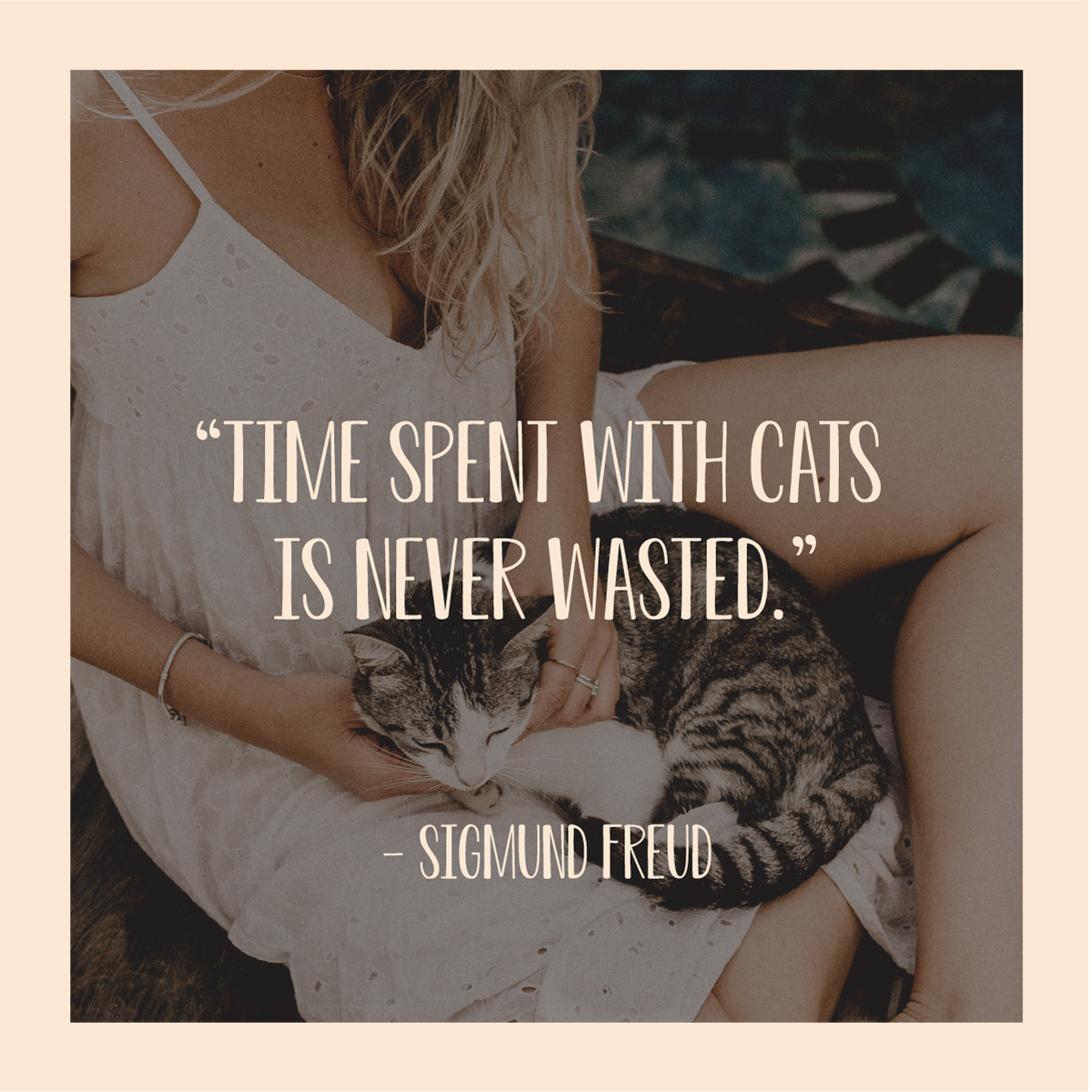 FluffyClub1's tweet photo. What greater gift than the love of a cat 😽

#cat #cats #catsoftwitter #catlover https://t.co/6psQE0g3hW