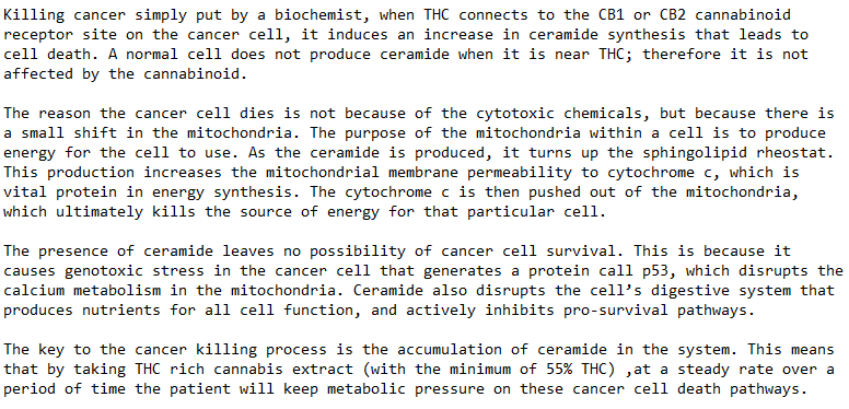 cannaworldsite's tweet photo. Cannabis kills cancer
#JBOMethod https://t.co/68eqvjqt33