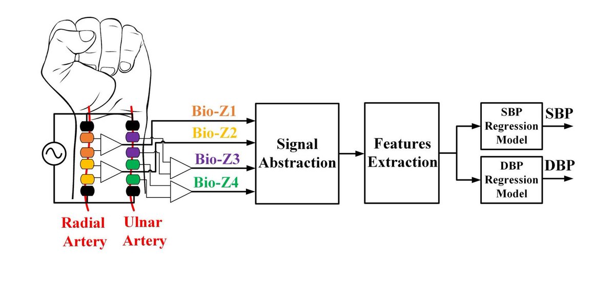 esp_lab's tweet photo. Our latest work on cuffless BP published in TBioCAS journal “Cuffless Blood Pressure Monitoring from an Array of Wrist Bio-impedance Sensors using Subject-Specific Regression Models” @IEEETBioCAS

Paper: https://t.co/UZIDH5q3Jz

#bloodpressure #wearables #smartwatch #bioimpedance https://t.co/S5NfUPkV7v