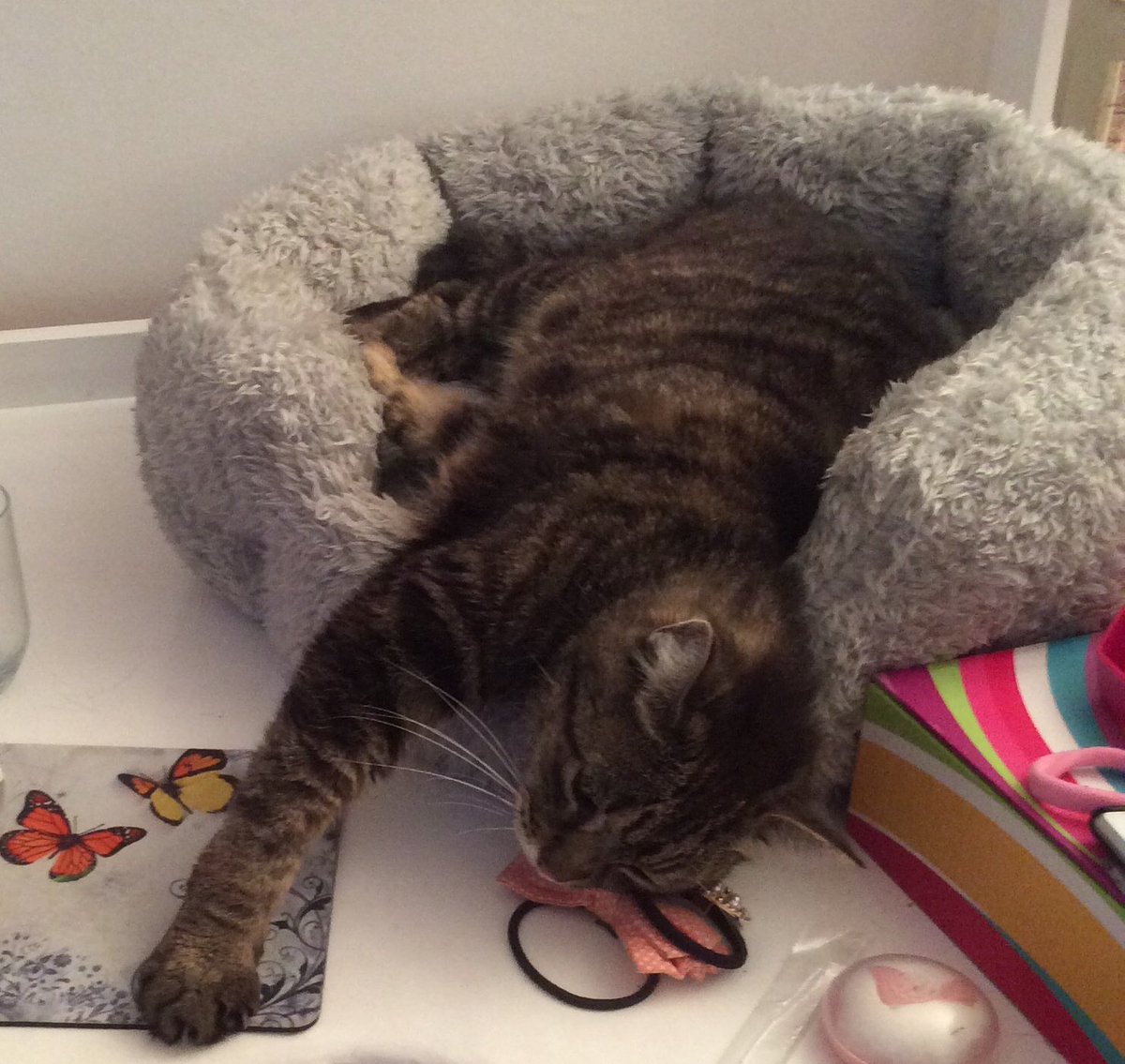 ⁦<a href="/shippaipentagon/">🌙 # cosmic witch aesthetic</a>⁩