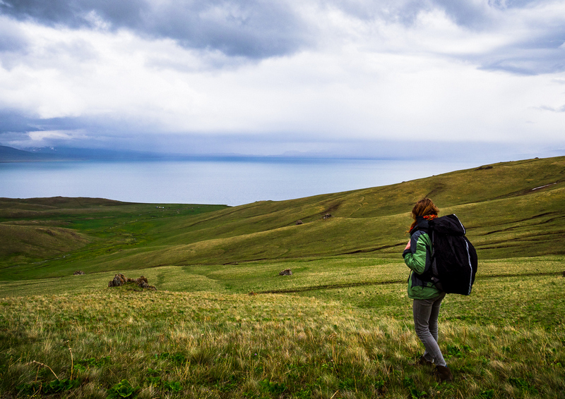 Journal of Nomads tweet media