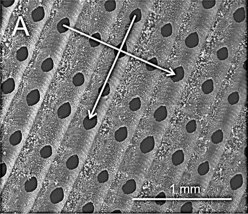 JMaterSci's tweet photo. July #2019CahnPrize finalist (handled by Annela Seddon @UniBrisPhysics)
Patterned anodised C-loaded PE film + flavin measures urine pH
from @UUEngineering @UCLanChemistry @PABSUCLan 🇬🇧 & @AmityUni 🇮🇳
#OpenAccess through #SpringerCompact: https://t.co/SAYwuPUagn
@SpringerEng https://t.co/cgH0wijRYZ