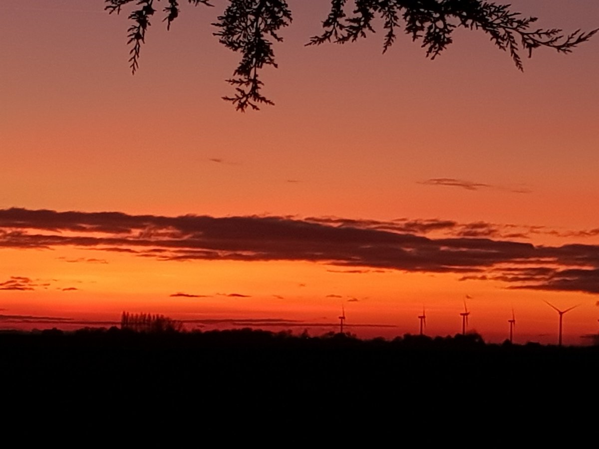 Just one of the reasons why I love the fens.