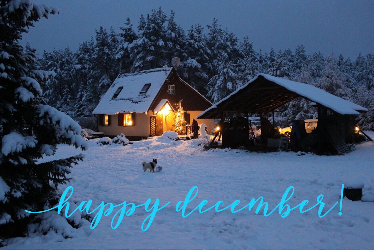 WeekendRunaway's tweet image. 