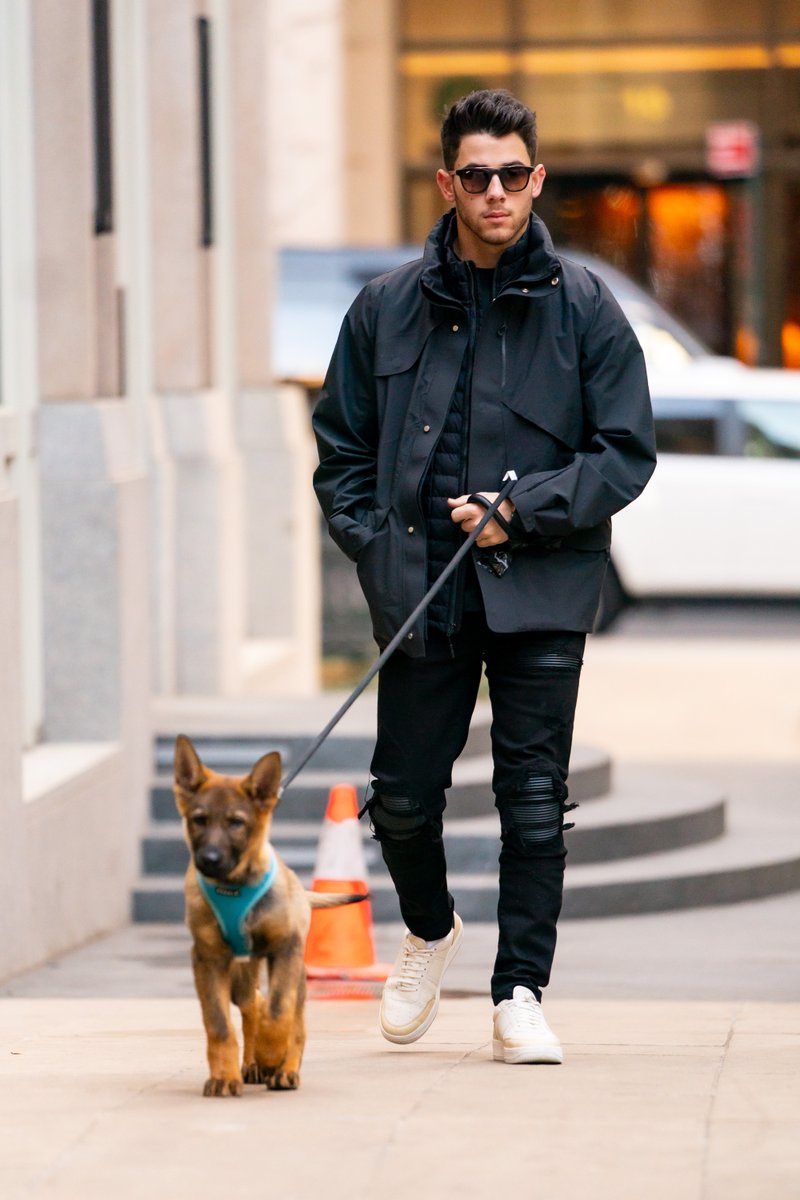 MTV (@MTV) on Twitter photo 2019-12-01 21:00:00 Yeah, Im REALLY loving @nickjonas as a dog-dad. π Yeah, Im REALLY loving @nickjonas as a dog-dad. π