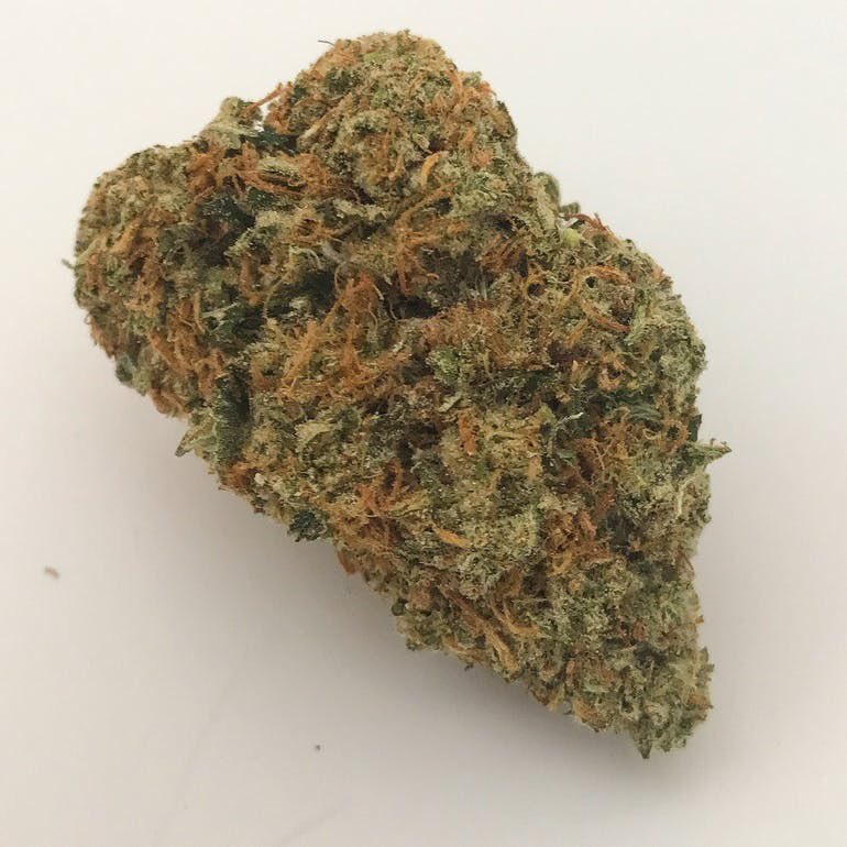 Barn4201's tweet photo. BLACK MARKET OG👾
@the420tube 
@HIGH_TIMES_Mag 
@PuffOneMedia 
@_stonerchill 
#beauty #greenlovepotion #samsaraseeds #samsara #themysticseeds #cannabisseeds #semillas #graines #hightimes #highlife #420friendly #thcwax
#wax #weed #joints #blunt https://t.co/A0NJtcwIwg