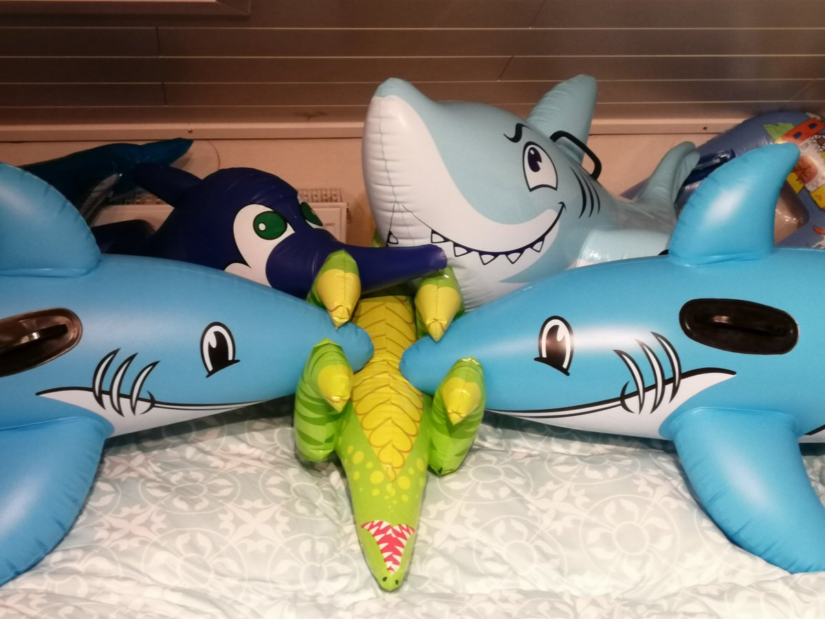 Hallstahl's tweet photo. Silly, blue sharks. They're always up to something... Well, I don't mind that at all. 🦈 https://t.co/DeGpv3Y3Qj