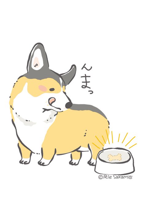 A List Of Tweets Where 曉三叉路 黄昏迂回路 Was Sent As Corgi 1 Whotwi Graphical Twitter Analysis