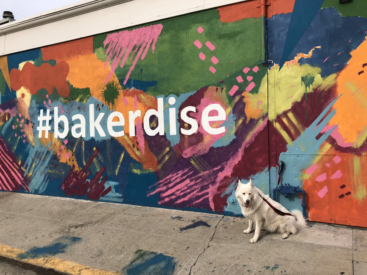 Have you ever strolled through your neighborhood just cuz? Lexie, our Motor City Mutt, loves to venture around her neighborhood to see new things and meet new people. Today she got plenty of belly rubs! 
#bakerdise #downtown #downtownbakersfield #motorcitymutt #huskeys #dogs