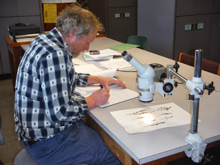 BSBIbotany's tweet photo. Interview here https://t.co/CfYz8QR2BS with outgoing #BSBIPresident Chris Metherell @EyebrightChris. Includes his work to promote #herbaria, launch of his #BSBIhandbook for #eyebrights, plans for 2020 #NewYearPlantHunt in Lindisfarne & the day he bumped into @ChrisGPackham :-) https://t.co/Im60jb2SYm