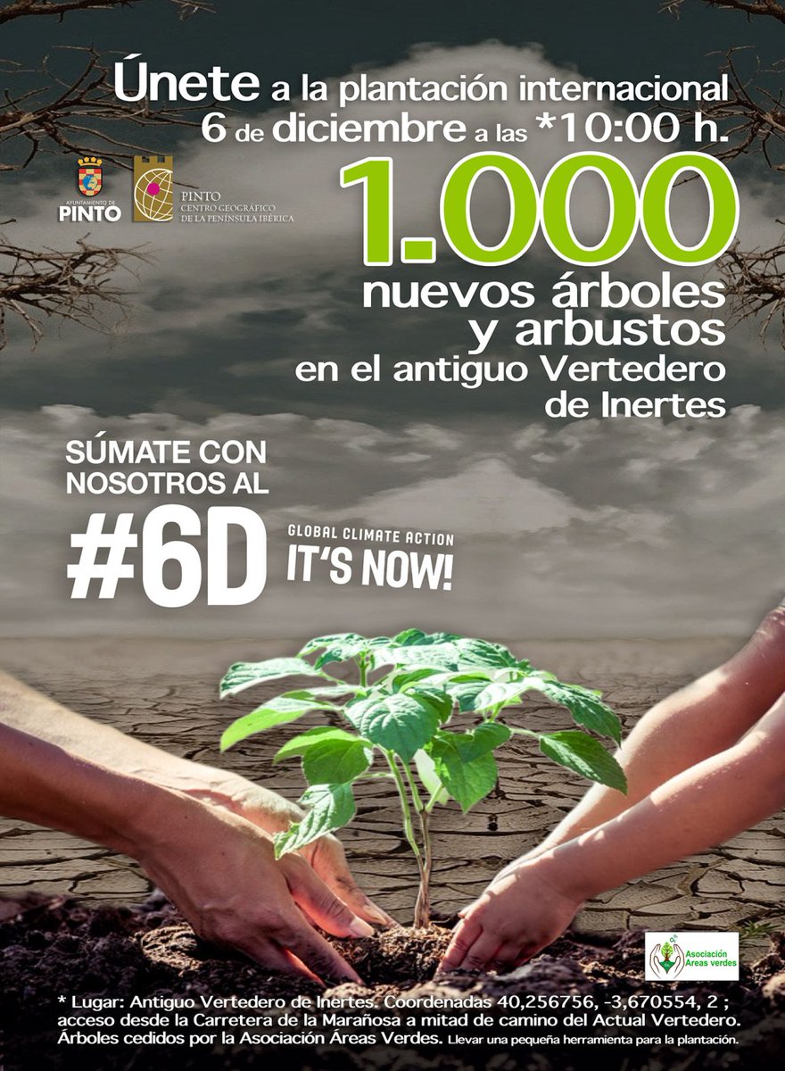 Centro Social Trilce tweet media