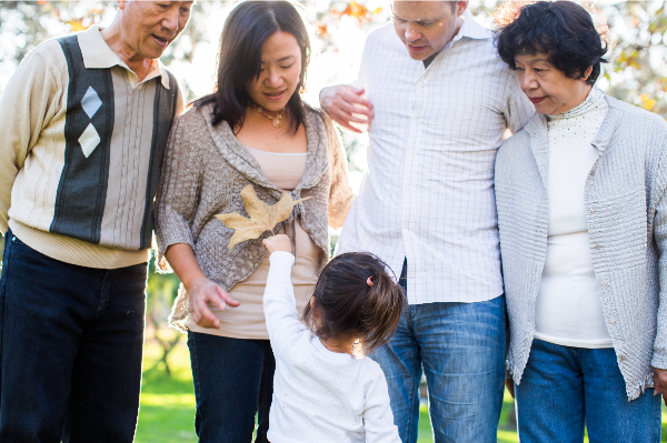 MCP December 2019 Newsletter - mailchi.mp/db9297d91197/m…