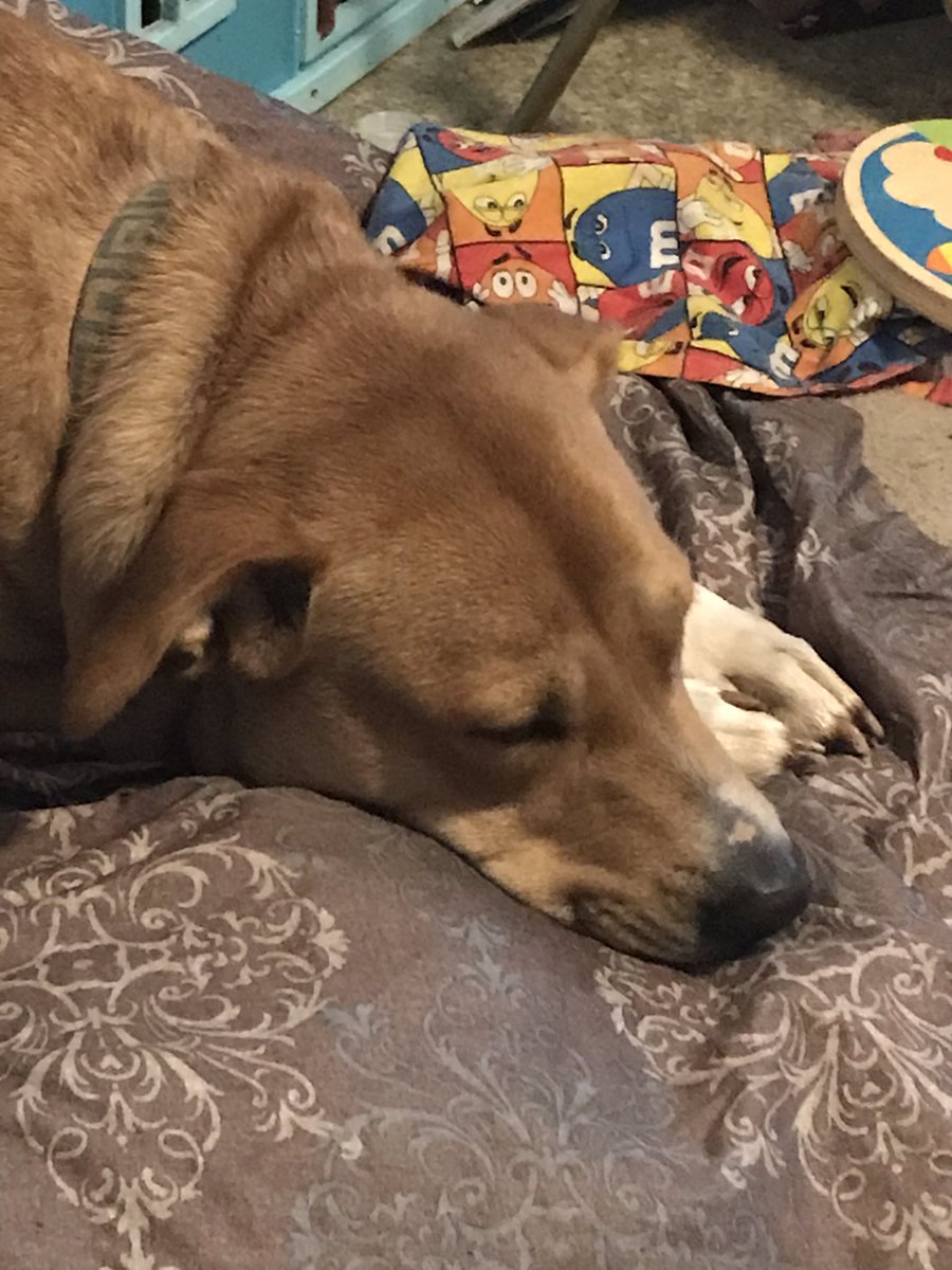 Mama Writes Reviews | An opinion on everything tweet media