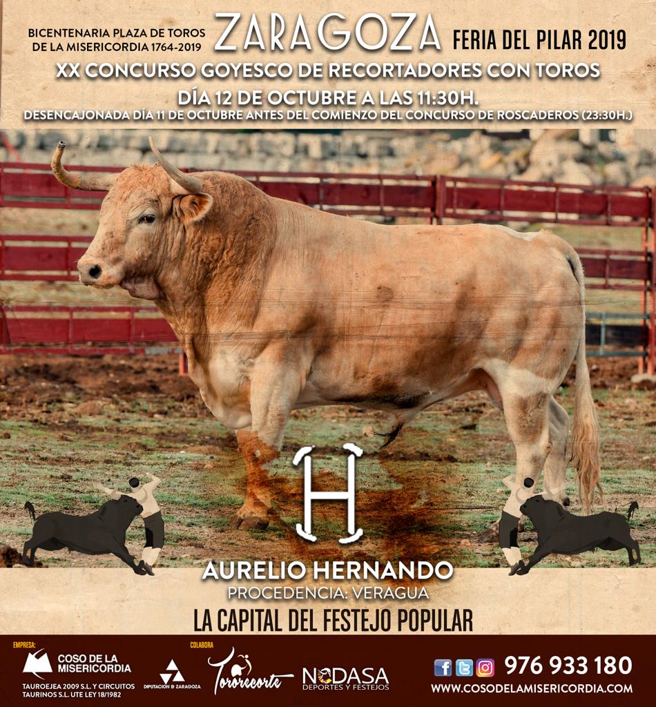 🏆 Hoy hemos entregado el premio al 'Mejor Toro' del XX Concurso Goyesco de Recortadores con Toros.

➡️ Ha sido para el espectacular toro de AURELIO HERNANDO lidiado en sexto lugar el pasado 12 de octubre.

#TorosZaragoza2019 #Zaragoza