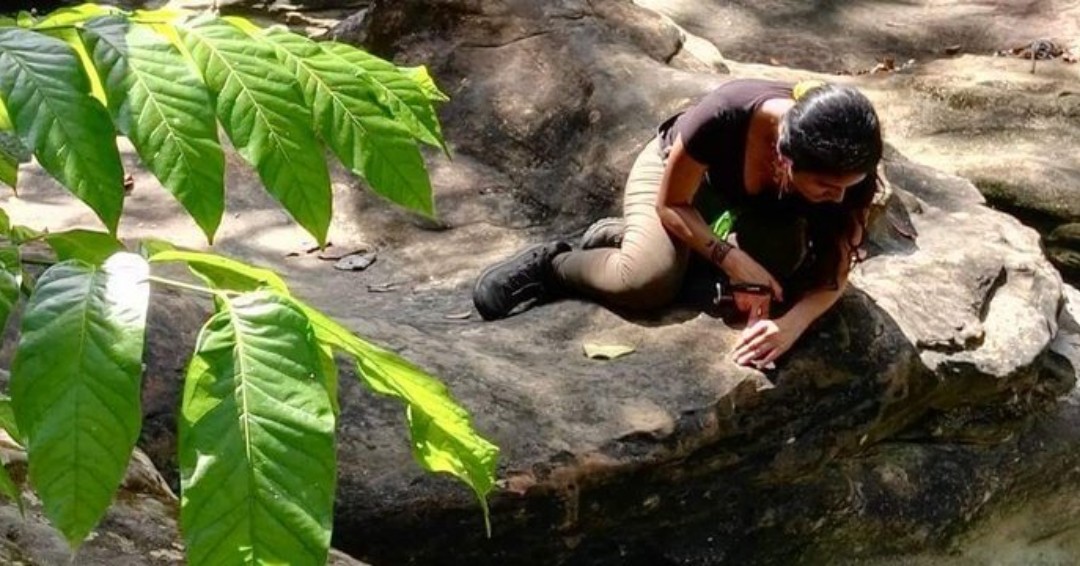 Em1 Microscope (@em1microscope) on Twitter photo This is Rosa Vasquez, a <a href="/NatGeo/">National Geographic</a> explorer and creator of the MicroAmazon project. In 2020, Rosa and team will take the Em1 into the #Amazonian #jungle to accelerate their work. We couldn’t be more excited! 👏🔬 ow.ly/HbII50xoIvN
#explore #em1microscope #jungle #amazon This is Rosa Vasquez, a <a href="/NatGeo/">National Geographic</a> explorer and creator of the MicroAmazon project. In 2020, Rosa and team will take the Em1 into the #Amazonian #jungle to accelerate their work. We couldn’t be more excited! 👏🔬 ow.ly/HbII50xoIvN
#explore #em1microscope #jungle #amazon