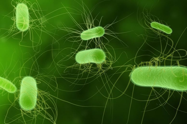 OzgurTufekci's tweet photo. While we are dealing with a myriad of political issues, researchers in Israel created Escherichia coli (bacteria) strains that consume CO2 for energy instead of organic compounds.
#STEMvsSTEAM
https://t.co/DvUJH5IeC1 https://t.co/aWDtHluHWE