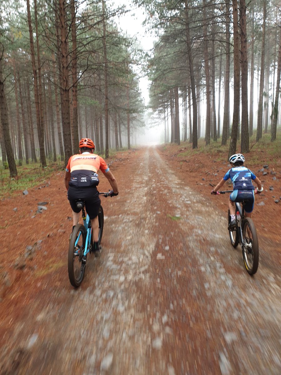 ChloAllison1's tweet photo. Misty rides in the Hilton forests this morning. Thanks to my coach @AbsMotionZA for showing us around. Really cool #singletrack under the pines...
@TeamRoagRacing 
@RacedaySports https://t.co/GO3N83HkA2