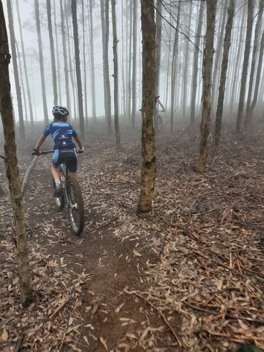 ChloAllison1's tweet photo. Misty rides in the Hilton forests this morning. Thanks to my coach @AbsMotionZA for showing us around. Really cool #singletrack under the pines...
@TeamRoagRacing 
@RacedaySports https://t.co/GO3N83HkA2