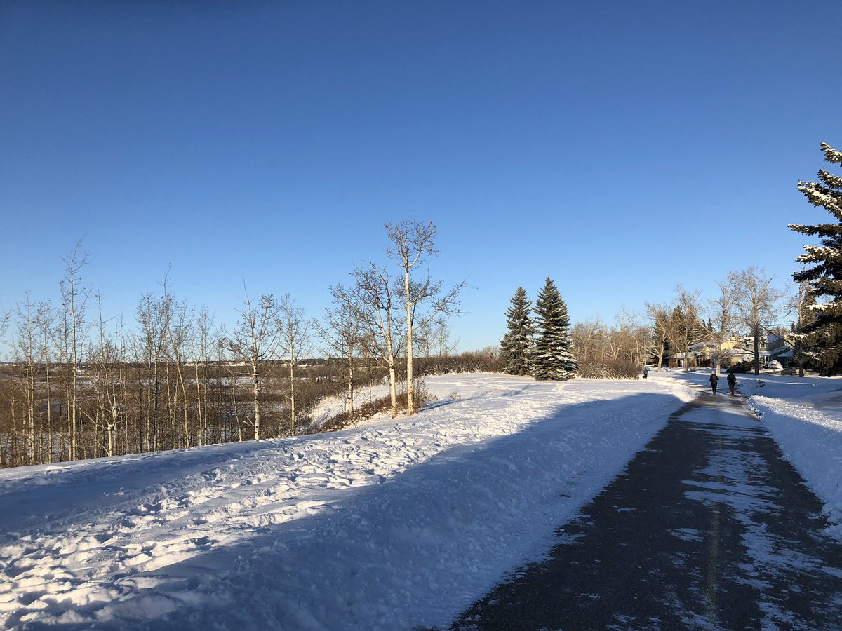 Carolyn Kildare tweet media