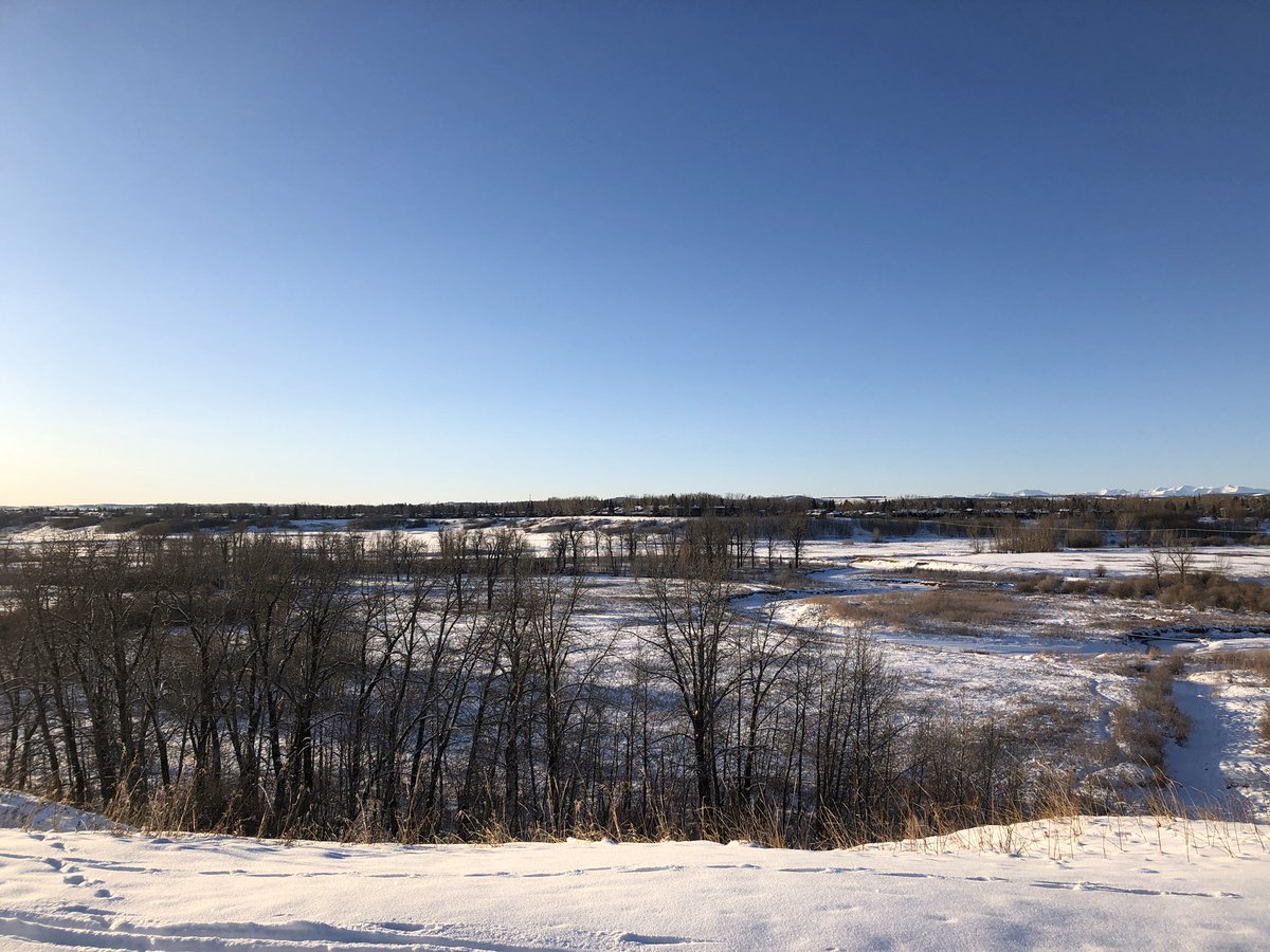 Carolyn Kildare tweet media