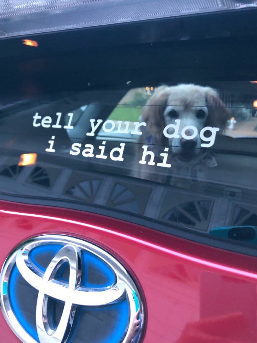 All of our stickers are buy 2 get 1 free for the rest of the day! Here are some dogs hoping you’ll tell your dog they said hi 🐾shop: https://weratedogs.com/collections/decals …