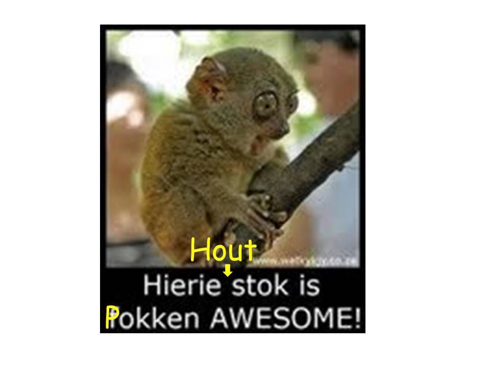Radio Houtstok se musiek is met net een woord BEPHOK!!

Daar is nie nog n ander stasie soos Radio Houtstok!!  En dit is geen groot pratery nie maar net n FEIT!!