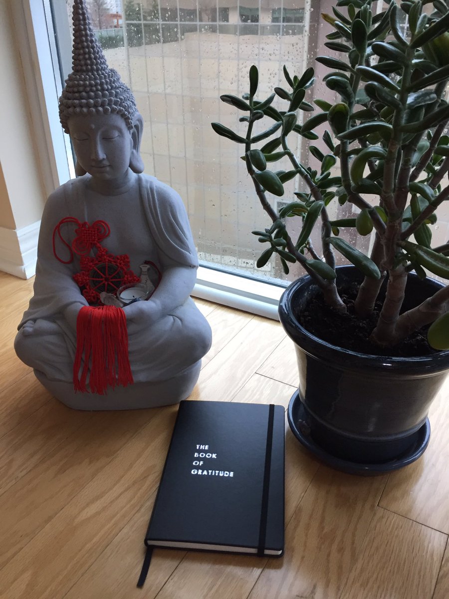 KimAlexander_'s tweet photo. Received my Gratitude Journal today in the mail from #ShopNK @natashankpr With every purchase you can make a donation to a local charity. I chose @StFelixCentre https://t.co/zR60t5TZIO