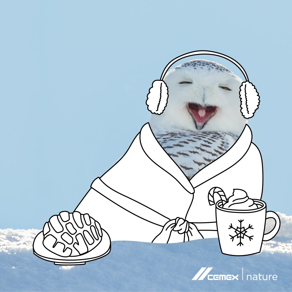 The face we make savoring the first cold days of the year! Snowy Owls like this one, though, always get to enjoy the cold, as they mainly live in the Arctic tundra. ❄️What would you caption this photo? ☃️