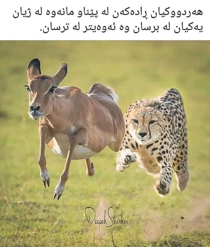 jasm 💜m💔A 💜 (@mahamdjasm) on Twitter photo 