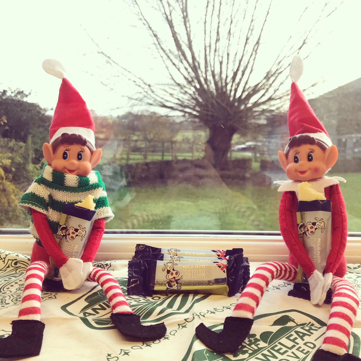 Lye Cross Farm tweet media