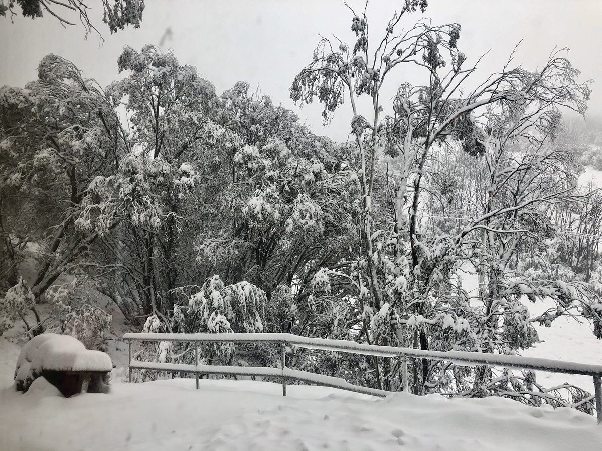20-30cms of snow has falls here in <a href="/Falls_Creek/">Falls Creek Resort</a> its starting to feel like Christmas. I may even go for a ski.... <a href="/abcnews/">ABC News</a>