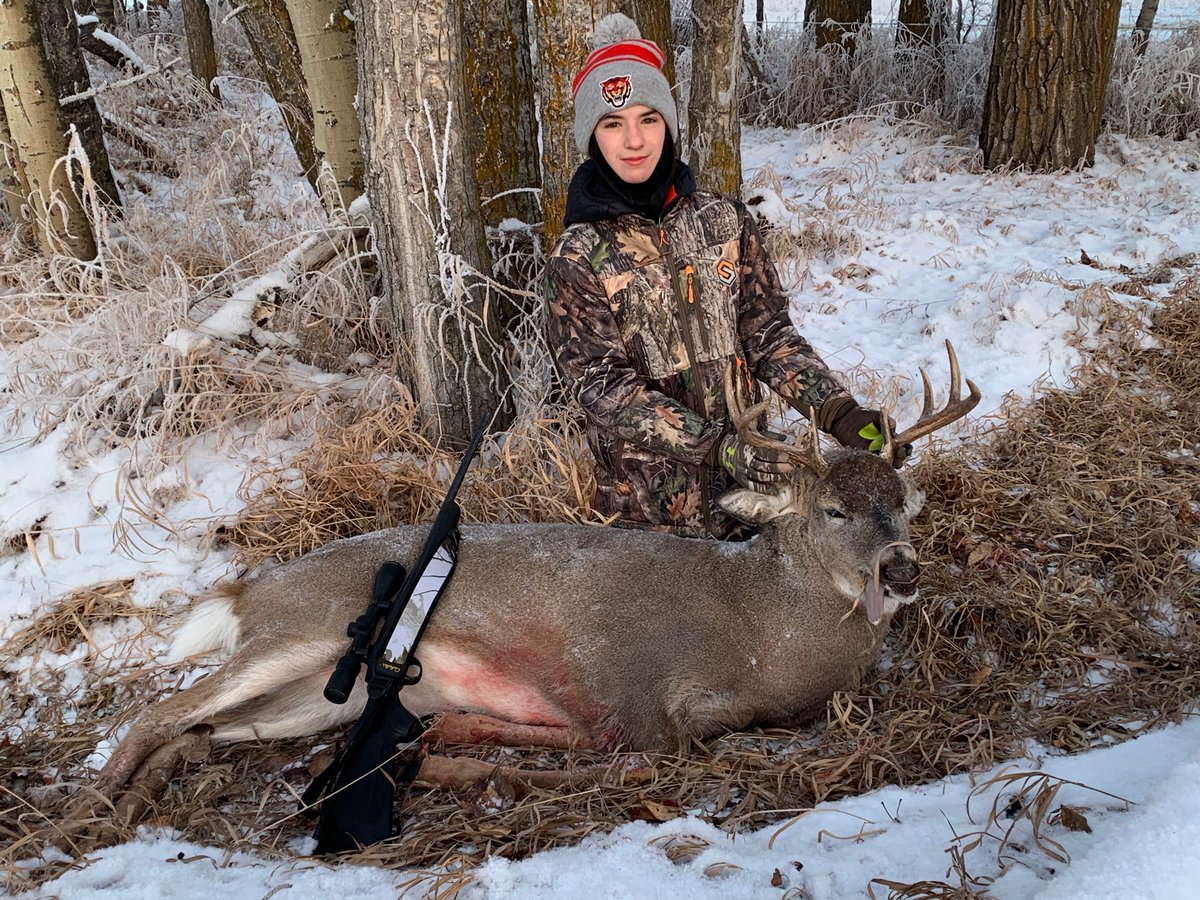 whelpc's tweet image. 