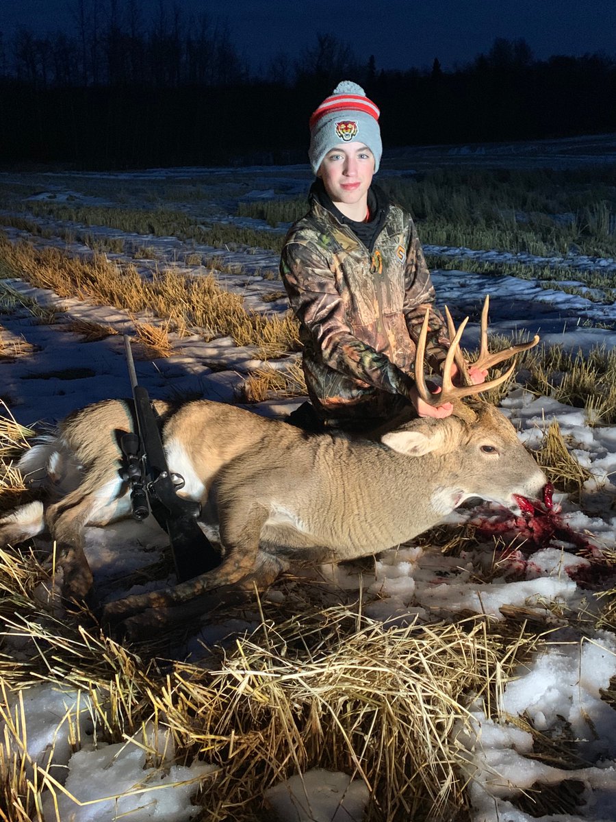 whelpc's tweet image. 