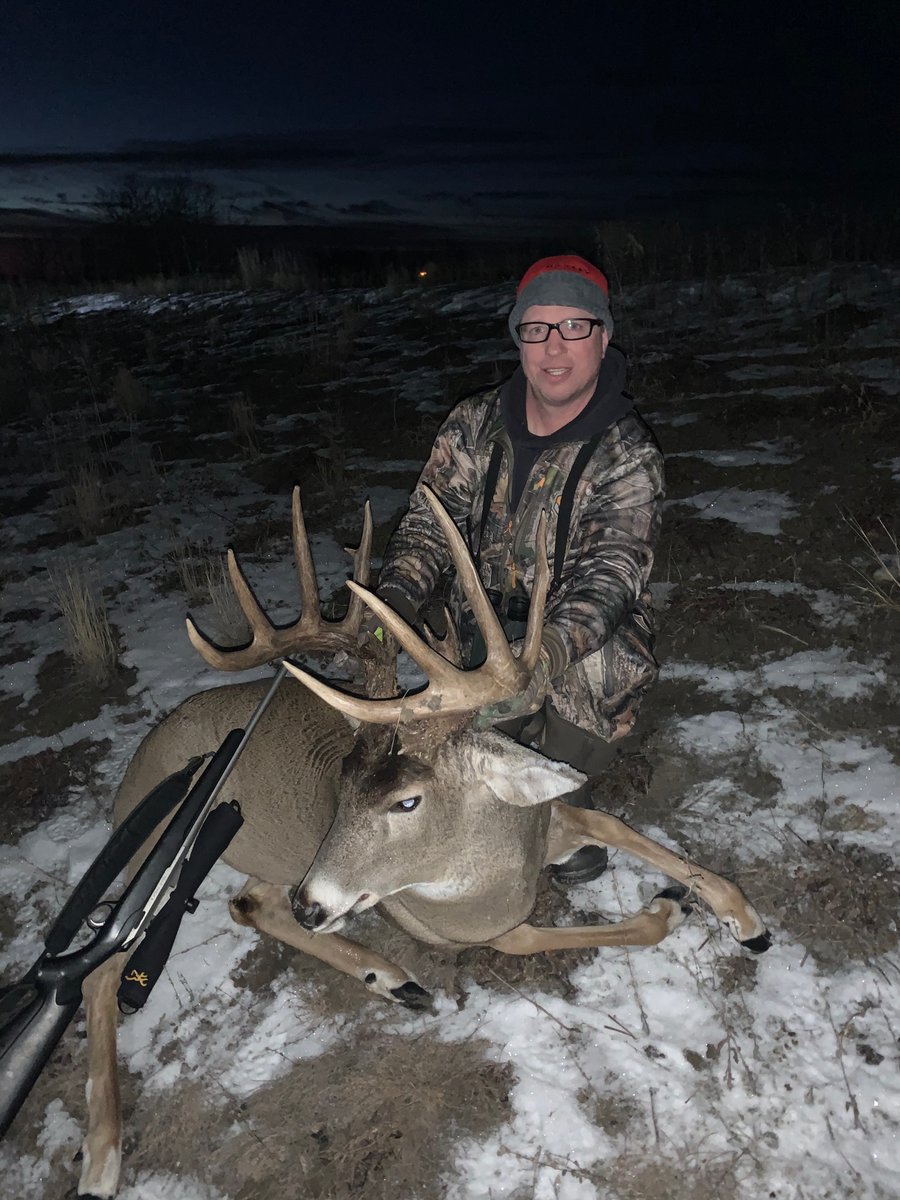 whelpc's tweet image. 