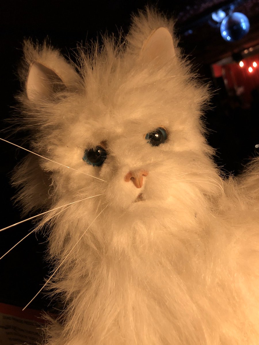 What instrument is our new band member cuddlz on?