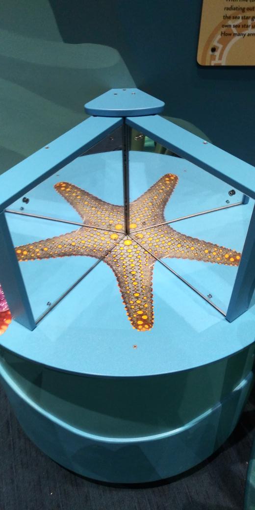 Meghan Alley tweet media